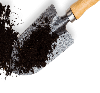 Garden Contractor in Jaipur