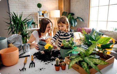 Garden Contractor in Jaipur