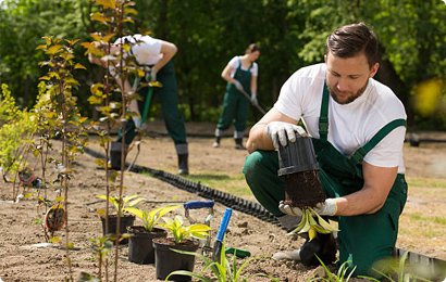 Garden Contractor in Jaipur