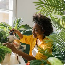 Garden Contractor in Jaipur