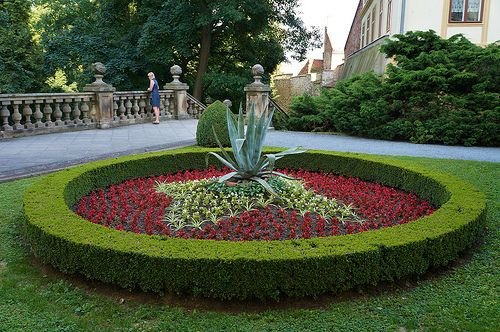 Garden Contractor in Jaipur