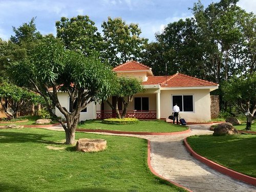 Garden Contractor in Jaipur